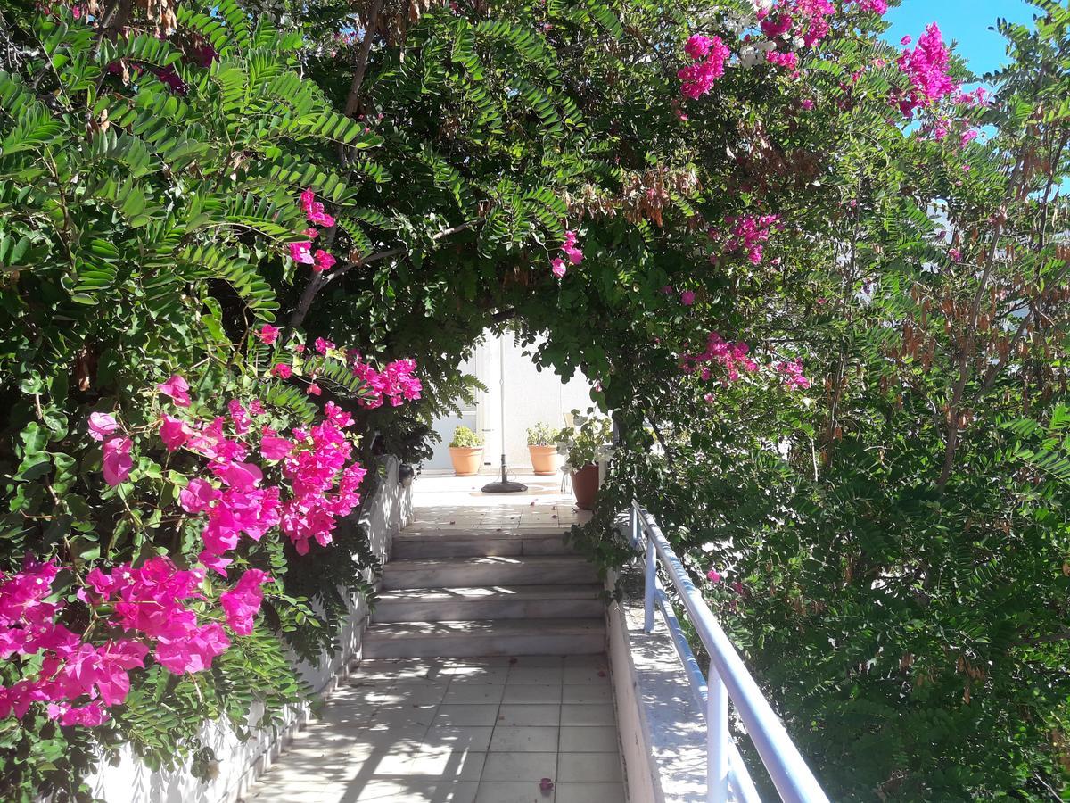 Seafront And 3*