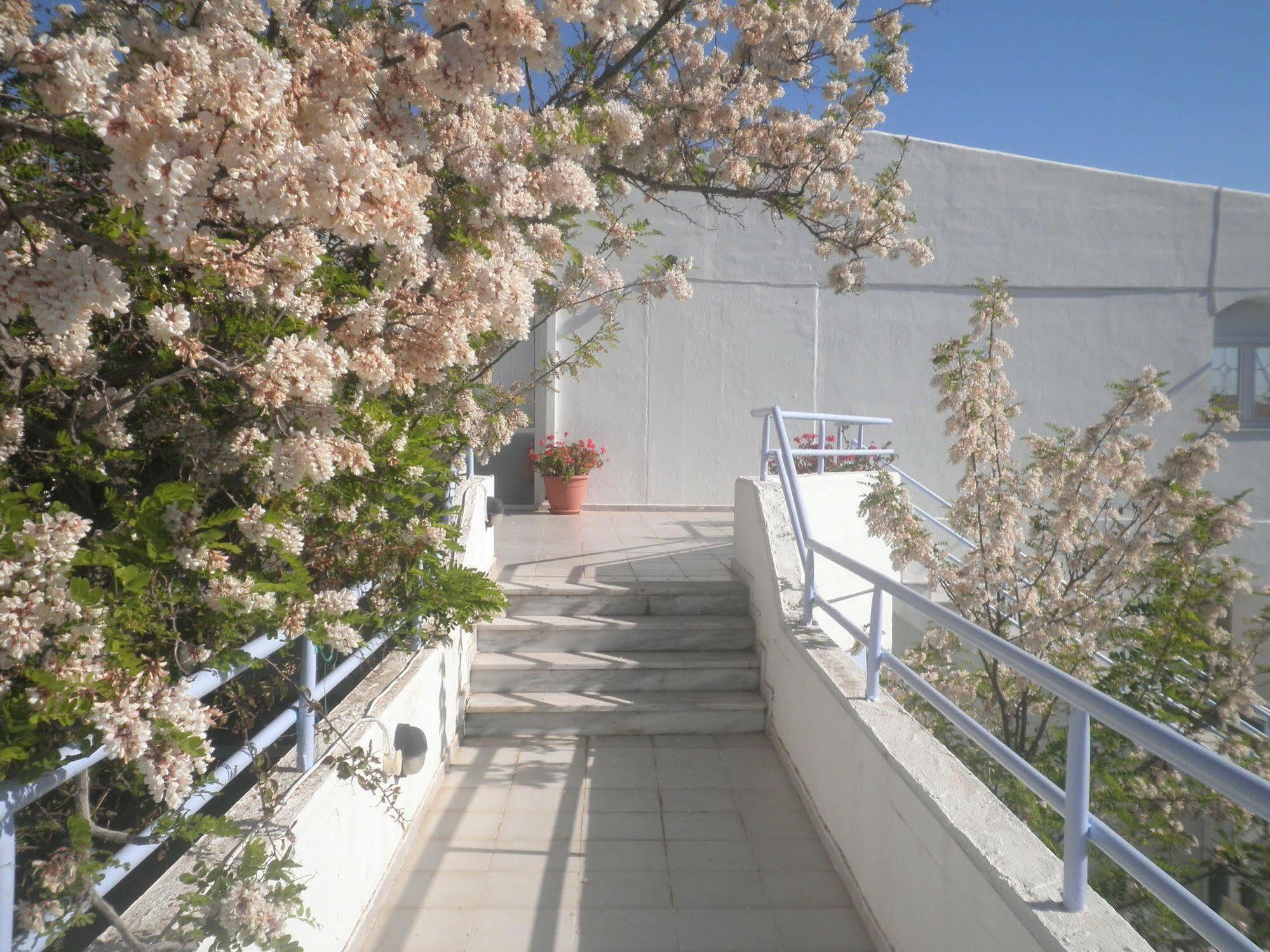 Apart Otel Seafront And Sakız